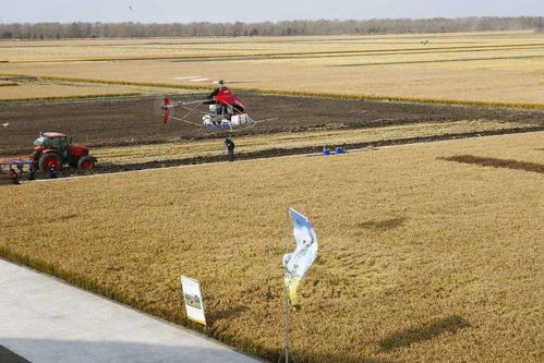 碧桂園進軍無人化農(nóng)場 農(nóng)業(yè)技術(shù)研究的新篇章