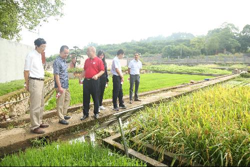 農業農村部科技發展中心調研祁陽站 聚焦前沿，共促農業技術創新發展