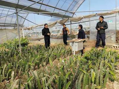 晉熙鎮深化農技推廣改革 賦能農業技術研究 穩定發展農業生產