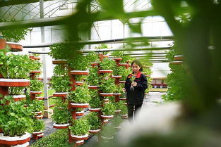 農業產業周報 海大、伊利領銜行業動態，資本聚焦智慧農業與生物技術